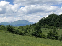 966 mp teren intravilan, Baia de Aramă, Negoiești