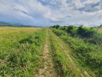 Teren intravilan arabil, 15 hectare