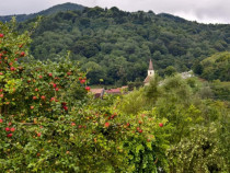 Vila cu poveste Fantanele, Sibiu