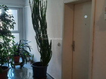 Apartament 2 camere, decomandat - zona Avantgarden