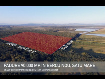 Pădure lângă Granița HU/RO/UA 90.000 mp Bercu Nou, Satu