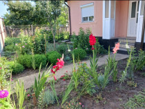 Harlau, Iași. Casa.