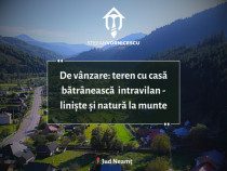 De Vânzare: Teren cu casă bătrânească intravilan Poiana