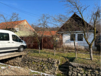 Teren 3400mp si casa batraneasca nelocuibila Criciova, Timis