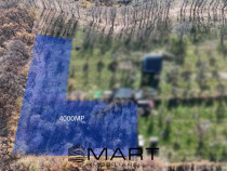 Teren de 4000 mp în Pădurea Tufari, Sadu