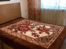 Apartament cu 2 camere in zona Cetatii