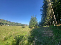 Teren, Ideal pentru Investitie Sau Dezvoltare