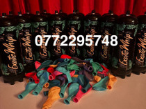 Butelie azot Exotic whip - Livrare 24/7 NON STOP