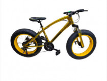 Bicicleta fat BiKE