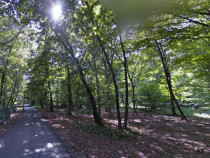 Teren cu deschidere la Padurea Snagov- Gruiu