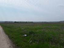 Teren extravilan, Cotofenii din Fata, jud Dolj -id 6954-0...