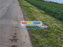 Teren Moara Vlasiei 65000 mp Industrial utilitati apropiere