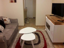 Oferim spre inchiriere apartament cu doua camere