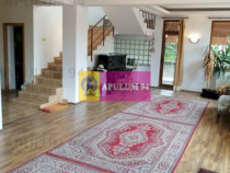 Vila Spatioasa Bucuresti