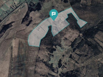 Teren arabil de 40 hectare &icirc;n Secaș, Timiș