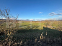 Teren extravilan 1000 mp, zona Livezile