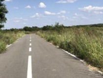 Terenuri Industriale 2000-5000mp Magurele-Buda