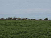 Vanzari terenuri in Agigea zona Golful Pescarului