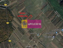 Săbăreni, teren intravilan construibill, la 300 m de p?...