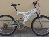 Bicicletă Germania