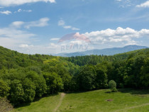Teren de v&acirc;nzare &ndash; Colonia 1 Mai, 5.310 mp, ideal pent...