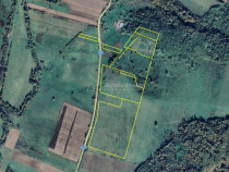 Forotic, Teren Drept Pentru Investitie, 13.2 Hectare (132.00