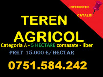 TEREN AGRICOL- categoria A - CATALOI