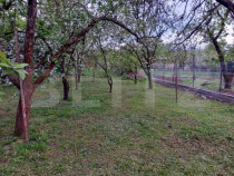 Teren, 600 mp, zona Bercu Rosu