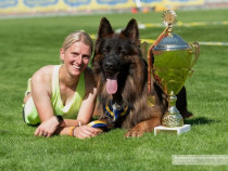 Femela Ciobanesc German