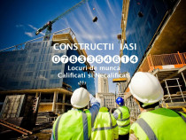 Angajam Dulgheri Fierari Finisori Faiantari Zidari IASI Constructii