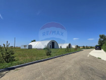 DE VANZARE | Hale | 1407mp | Teren 9344 | Potigrafu