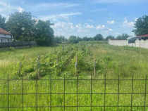 Teren intravilan C&acirc;rcea 2900mp