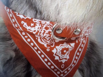 Bandana pentru caini