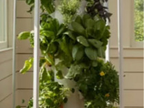 Turn crestere plante fara sol - aeroponic