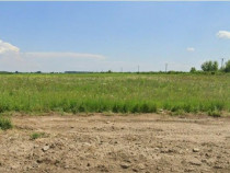 Teren Costestii din Vale, ID: R2582235