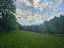 TEREN DE VANZARE APROAPE DE PADURE