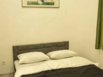 2 camere in zona Medicinei