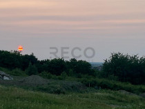 RECO Teren in Paleu 903 mp, acces rapid din Saldabagiu de Mu