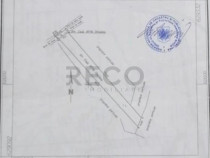 RECO Teren Episcopia