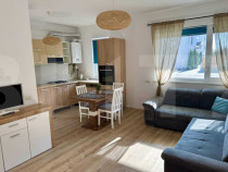 Apartament cochet cu curte și terasă &icirc;n Dumbrăvița &ndash;