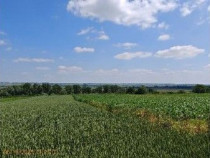 Teren extravilan Bosanci, ID: R2649419