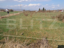 Teren intravilan 5000 mp, investiție într-o zonă în dezv