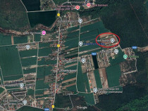 Balotesti- Dumbraveni- Padure