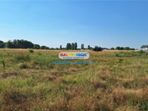 Teren de Berceni - Mamina, langa lac