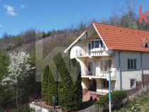 Casa deosebita Leamna, Dolj, priveliste panoramica