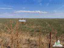 Teren zona Next Dovinot, Mihailesti DN6 5619mp D - 41.50m