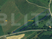 Teren extravilan 5008 mp, in Iara