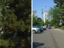 Apartament 2 camere Bacau. ID: R2695151