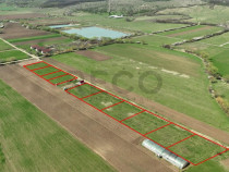 RECO , teren intravilan, Ineu,Bihor