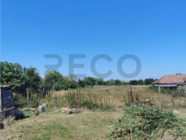 RECO Teren intravilan in Paleu la doar 22euro/mp